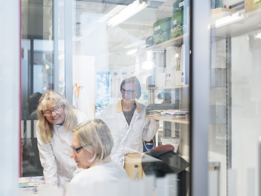 IRL IRlab IR-lab elstudio cecilia hallin jäger aren johan hörnestam lova eklöf